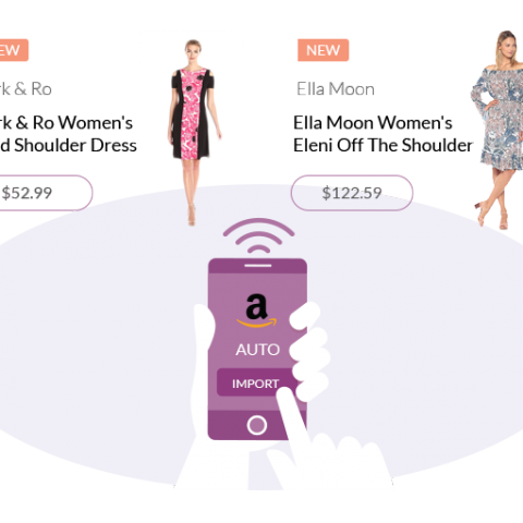 Auto Import Amazon Products