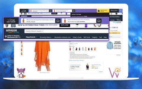 WZone Direct Import Chrome Extension